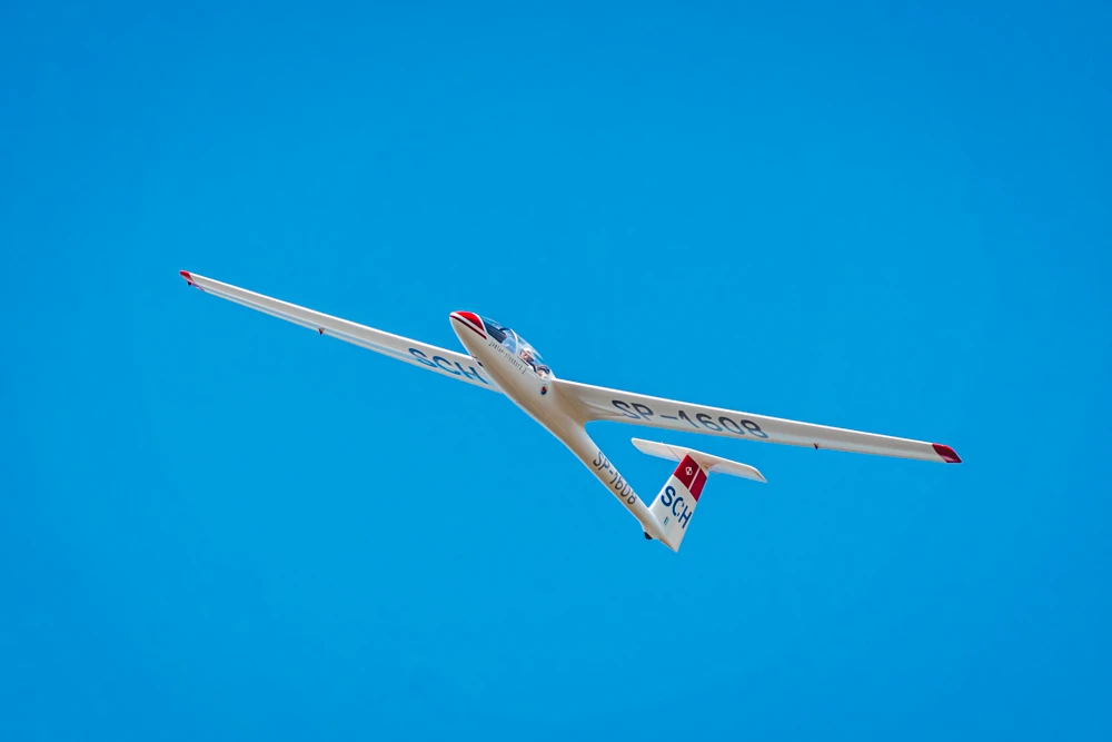 Zdjęcie z galerii High-Flyer